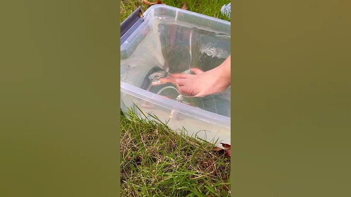 THIS IS THE WEIRDEST SLIME IN THE WORLD! 😱🤨🌎 *satisfying slime asmr*