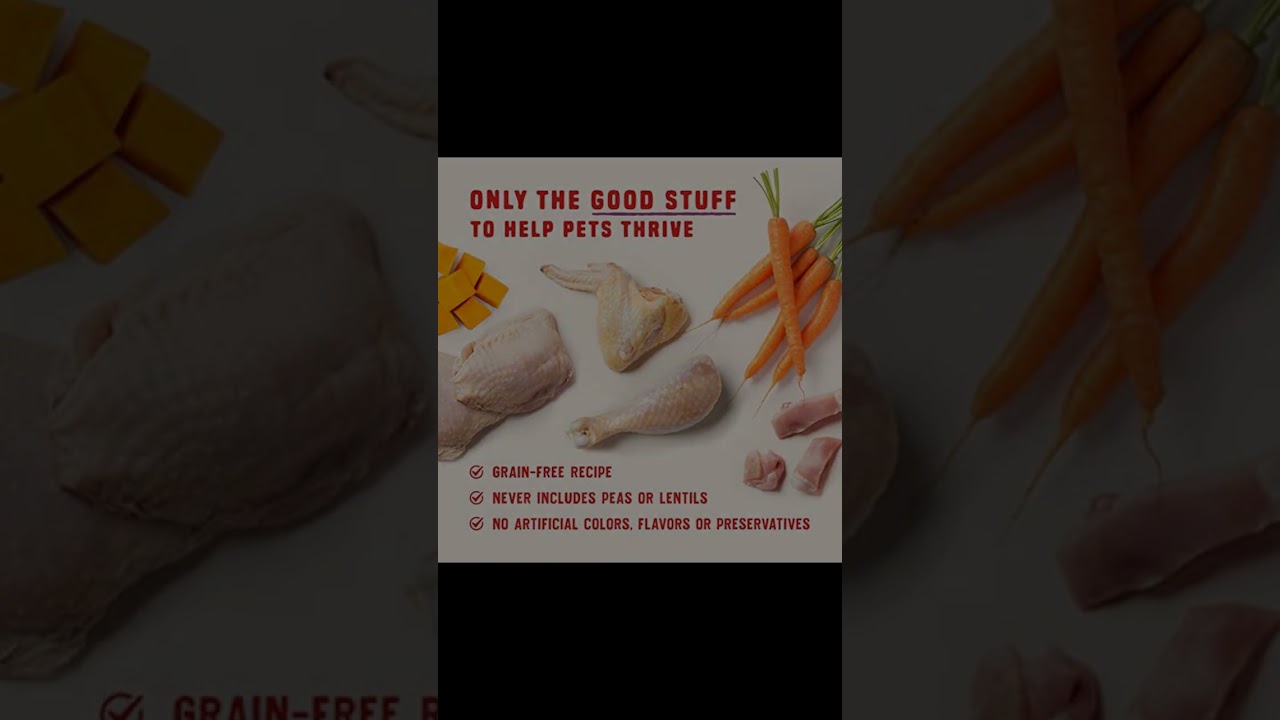 Stella & Chewy's Wild Red Wet Dog Food Review