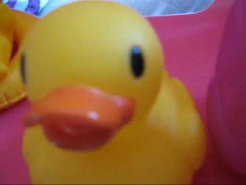 All my rubber ducks! :DD