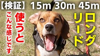 【犬用リード選び】長いロングリードの距離感はこんな感じ！限界は何m？