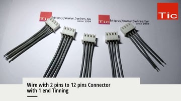 Wire to Board Connector Machine / Terminal Housing Insertion / Automation Cut Strip Crimp Tinning