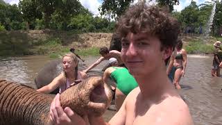 Swimming With Elephants in Thailand