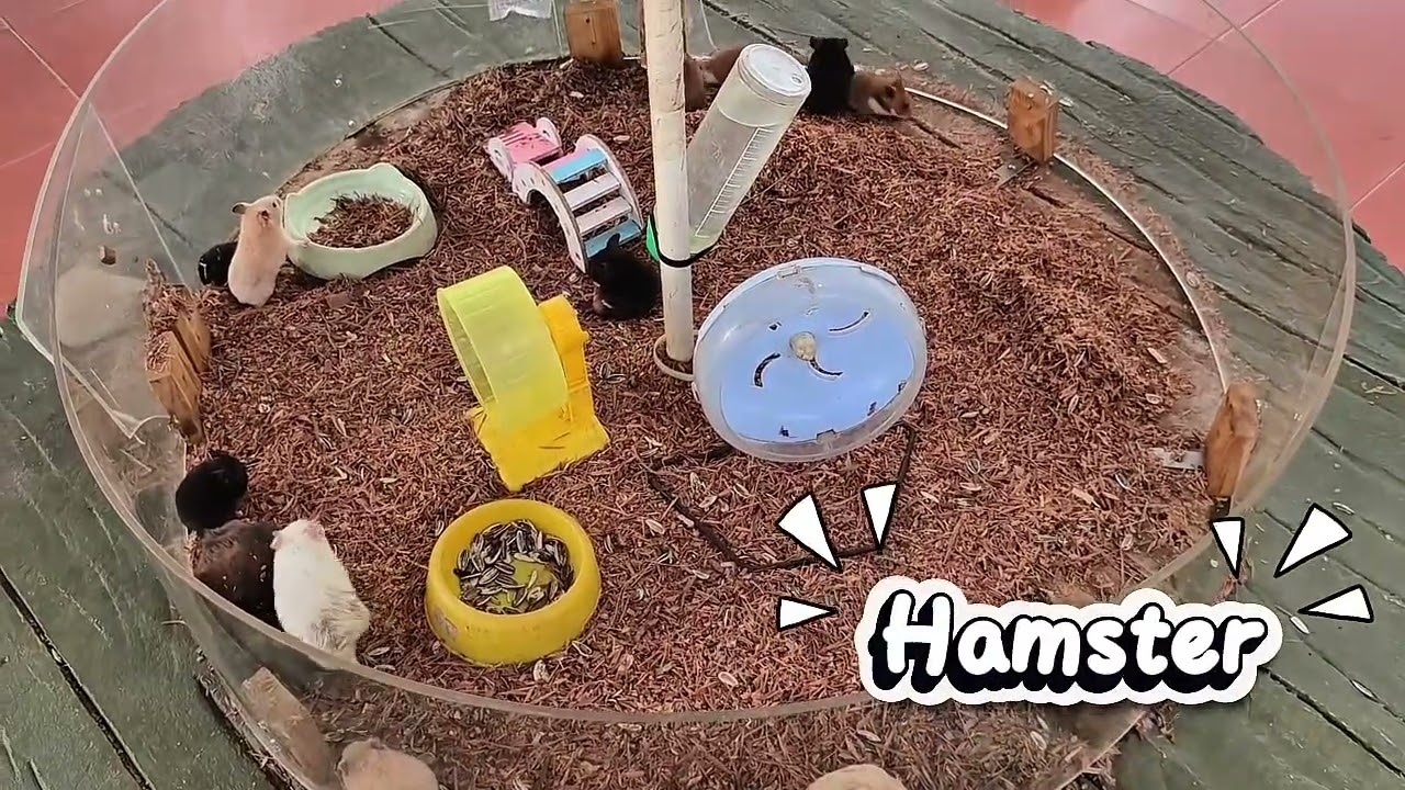 BATAM ZOO PARADISE 2025 