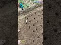 DIY Long Drill Bit for Farming: The Ultimate Way to Plant Veggies Fast!