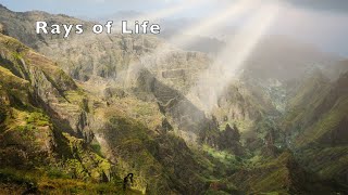 Rays of Life, Start of Spring and Warm Weather, Nature Sounds Explains