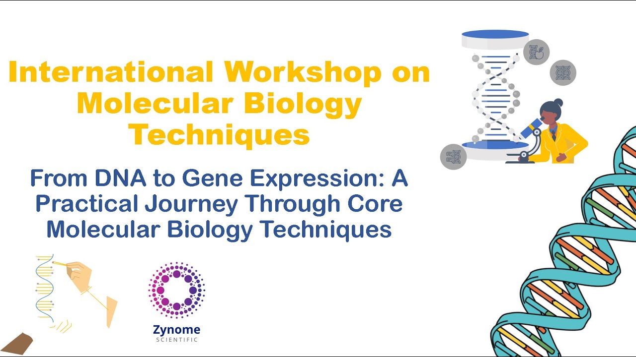 Molecular Biology Techniques Masterclass | Complete 2-Day Workshop