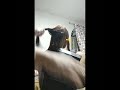 Hair Color with Brazilian Blowout.