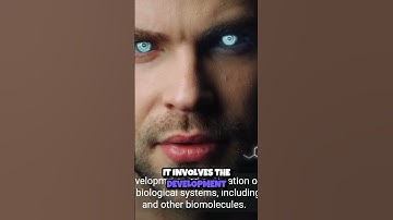 Unlocking the Secrets of Life  The Power of Bioinformatics 🔬💻