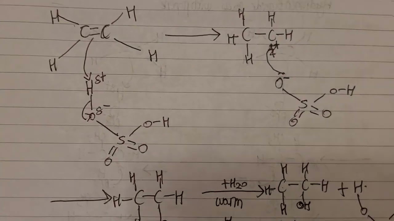 Alkenes react with cold concentrated sulfuric acid to form alkyl hydrogen sulfates