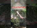 عزت نفس کامل و الهی عزت نفس کامل و الهی
