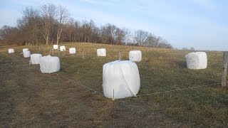 Feeding cattle round hay bales during the winter months is a very common practice on a farm. Most farmers use a tractor to feed 