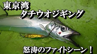 東京湾 タチウオジギング 2025.10.20 - YouTube