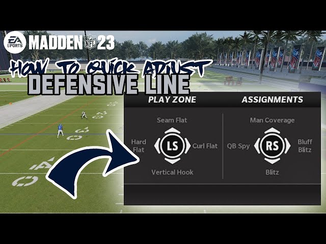 Madden Zone Coverage Assignments