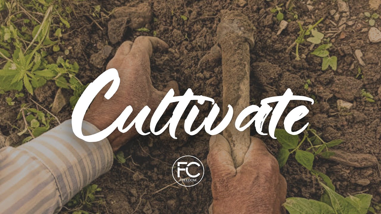 Cultivate- Week 4