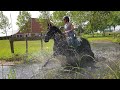 Reintje doesn't dare to enter the water ... But we will succeed in Canter! Friesian Horses.