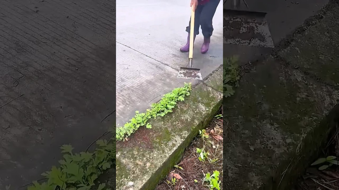 Technique for clearing wild plants on the edge of a concrete road using a shovel 