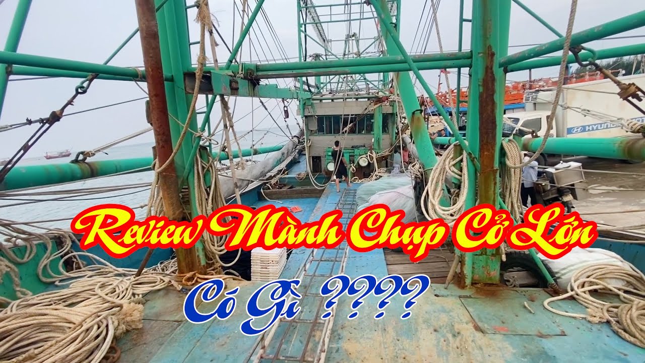 Review tàu mành chụp quỳnh nghĩa 4 xào chú tam có gì - Dân Biển