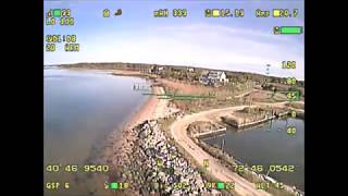 Eagle Tree Vector  takes a plunge