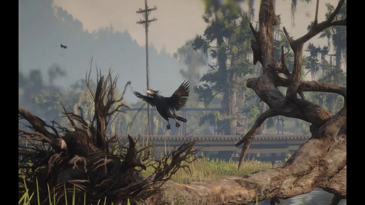 Zoologist & Skin Deep - Reliant Location of the Neotropic Commorant [Red Dead Redemption 2]