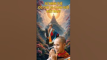 Sư Minh Tuệ có đạt đến cảnh giới Niết Bàn chưa? theo các bạn thì sao? #suminhtue #minhtue