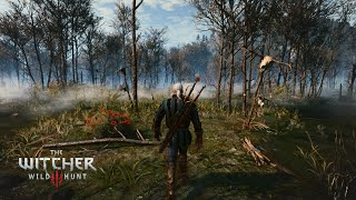 The Witcher 3: A Walk Through the Mysterious Swamps of Velen (Ambient Music)