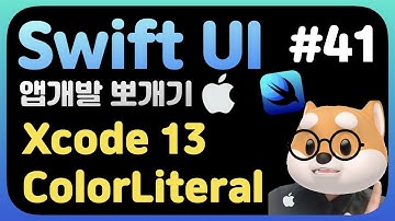 취준생을 위한 스위프트UI 앱만들기 xcode 13 colorLiteral SwiftUI 3.0 fundamental Tutorial (2021)