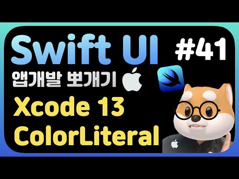 취준생을 위한 스위프트UI 앱만들기 xcode 13 colorLiteral SwiftUI 3.0 fundamental Tutorial (2021)
