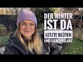 ✨❄️ Gartenrundgang im frühen Winter – Blüten, Frostschäden & Lichterglanz