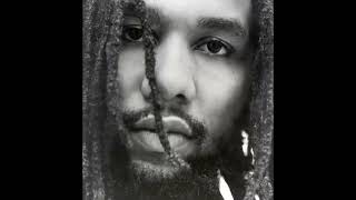 Famous Marley Brothers   Damian, Stephen, Kymani Criss to peer dub Mix Wealth