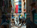 The Enigmatic Journey of Feral Cats
