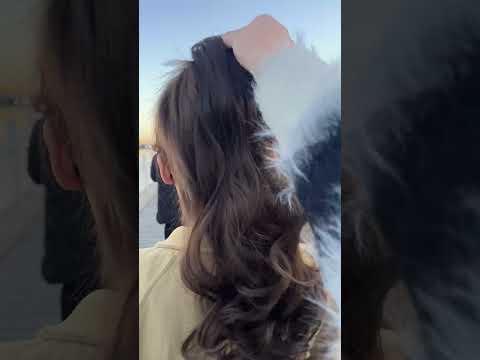 fake hair clip