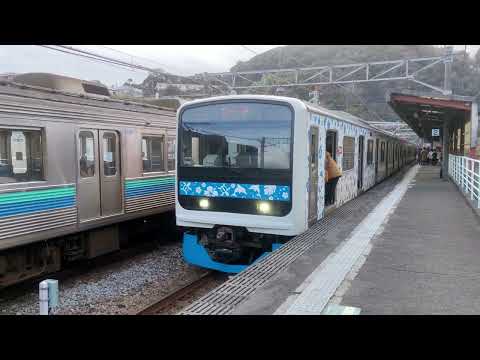 伊豆急行　伊豆稲取駅を行き交う列車たち（伊豆急行8000系・3000系 / JR東日本E261系サフィール踊り子号・E257系踊り子号）