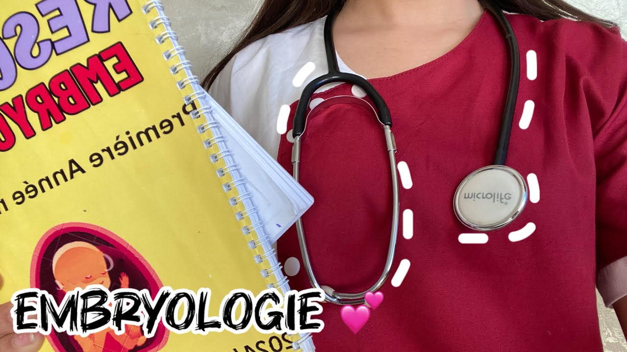 Embryologie Première année médecine 🩺🤍