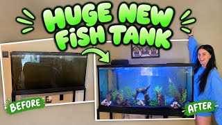 I Built A Brand New AQUARIUM!!!