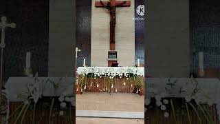 Tutorial merangkai bunga altar gereja untuk wedding #flower #rangkaianbungaaltargereja Tutorial merangkai bunga altar gereja untuk wedding #flower #rangkaianbungaaltargereja