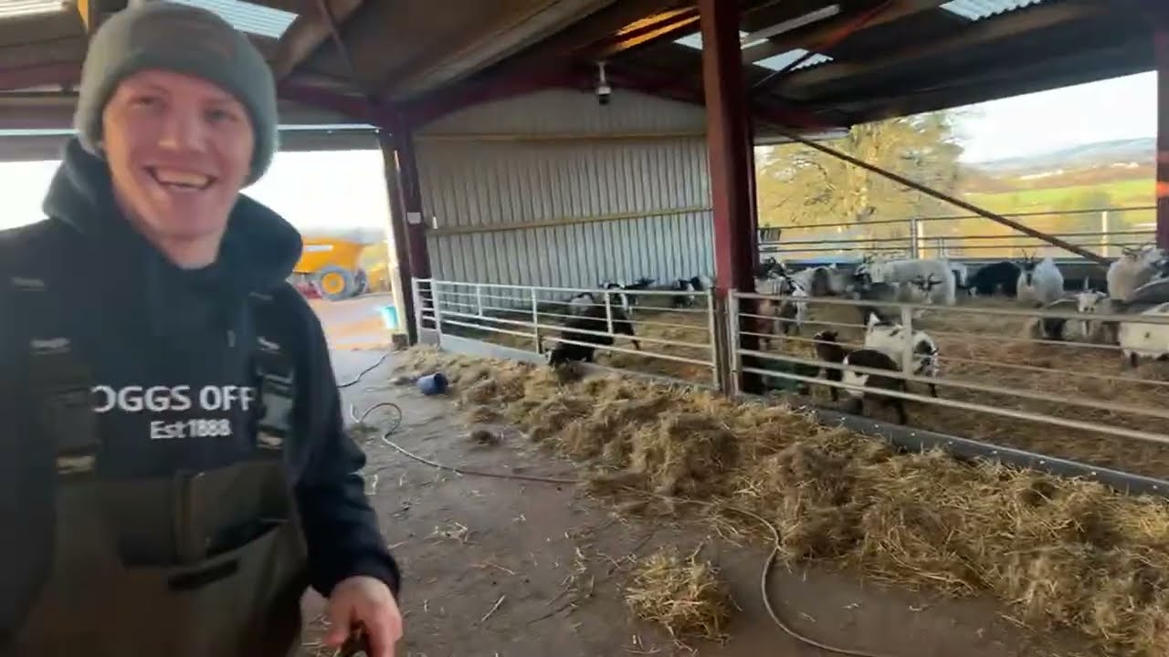 Another Surprise Birth! An incredibly busy day!