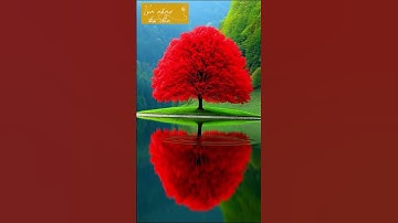 Tại sao người càng đức hạnh, vòng tròn bạn bè càng cô đọng?