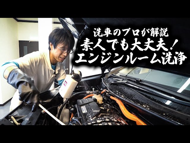 How to clean the engine compartment: Huh? Can an amateur do it? A