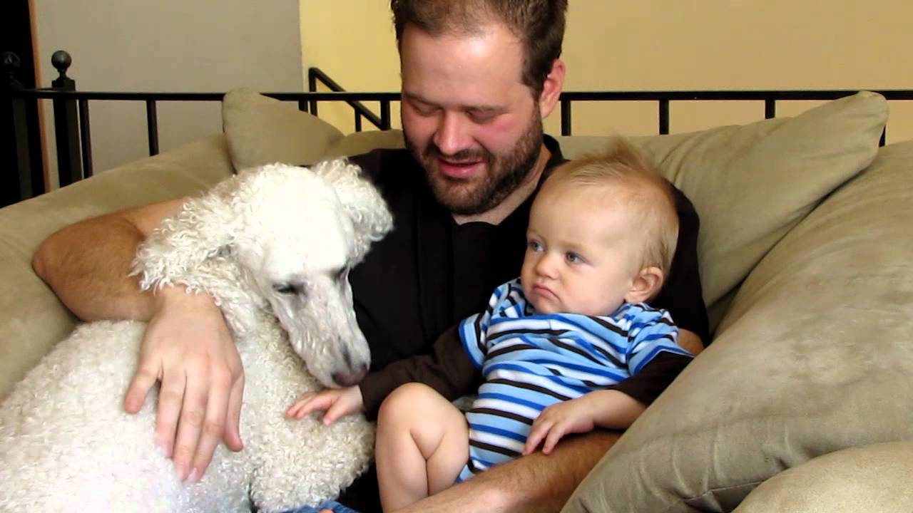 Poodle Love with Uncle Tricky and Baby David - YouTube