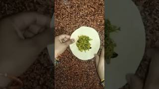 world's best biggest paratha recipe #food #realkitchen