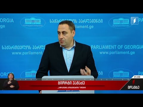 საერთო ოპოზიციური პრაიმერიზის ინიციატივა