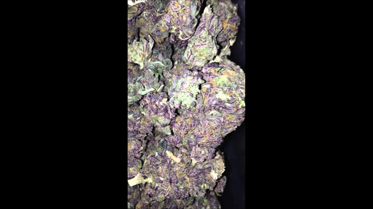 Pound of purps (Blackberry Kush)