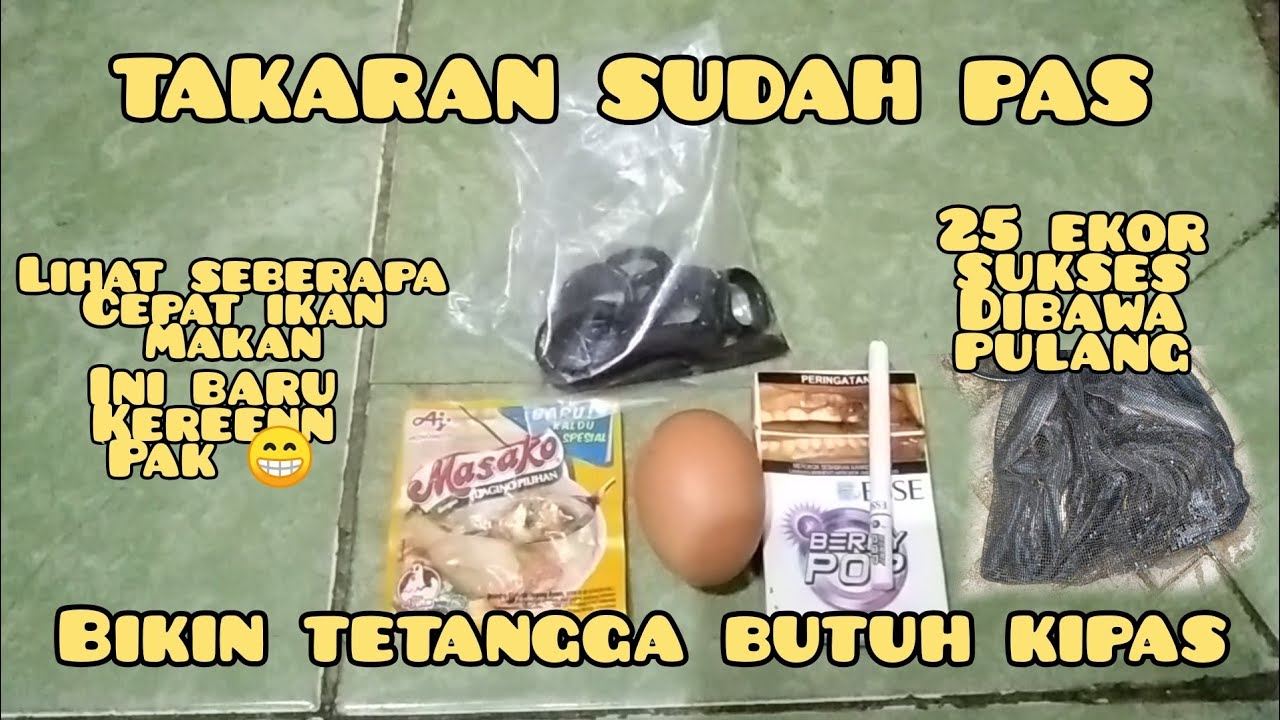 MANCING LELE || akhirnya ketemu takaran pas , hasilnya luar biasa masbro!!!