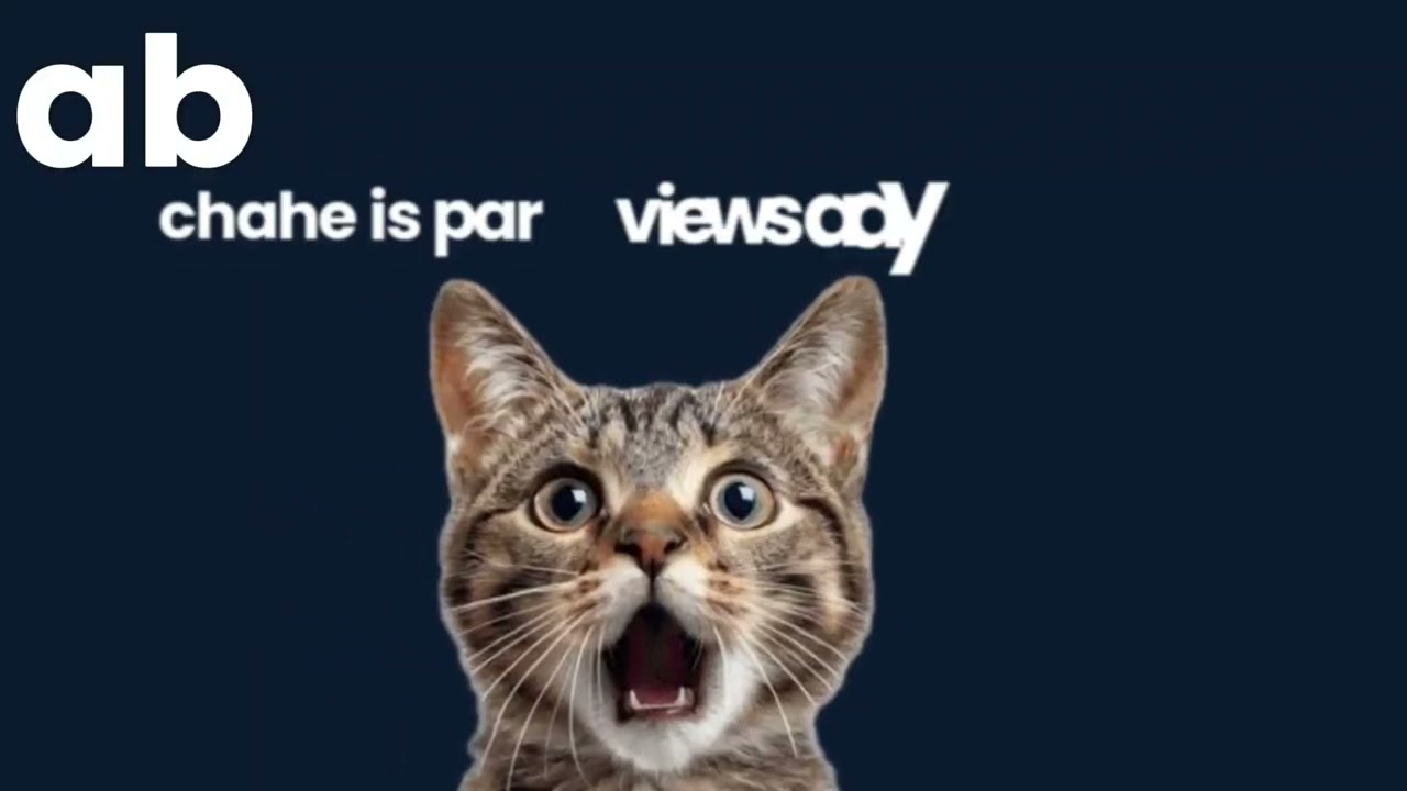 First typography reel 👊🏻✅