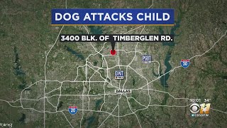 6-Year-Old Boy Hospitalized In Critical Condition After Dog Attack In Far North Dallas