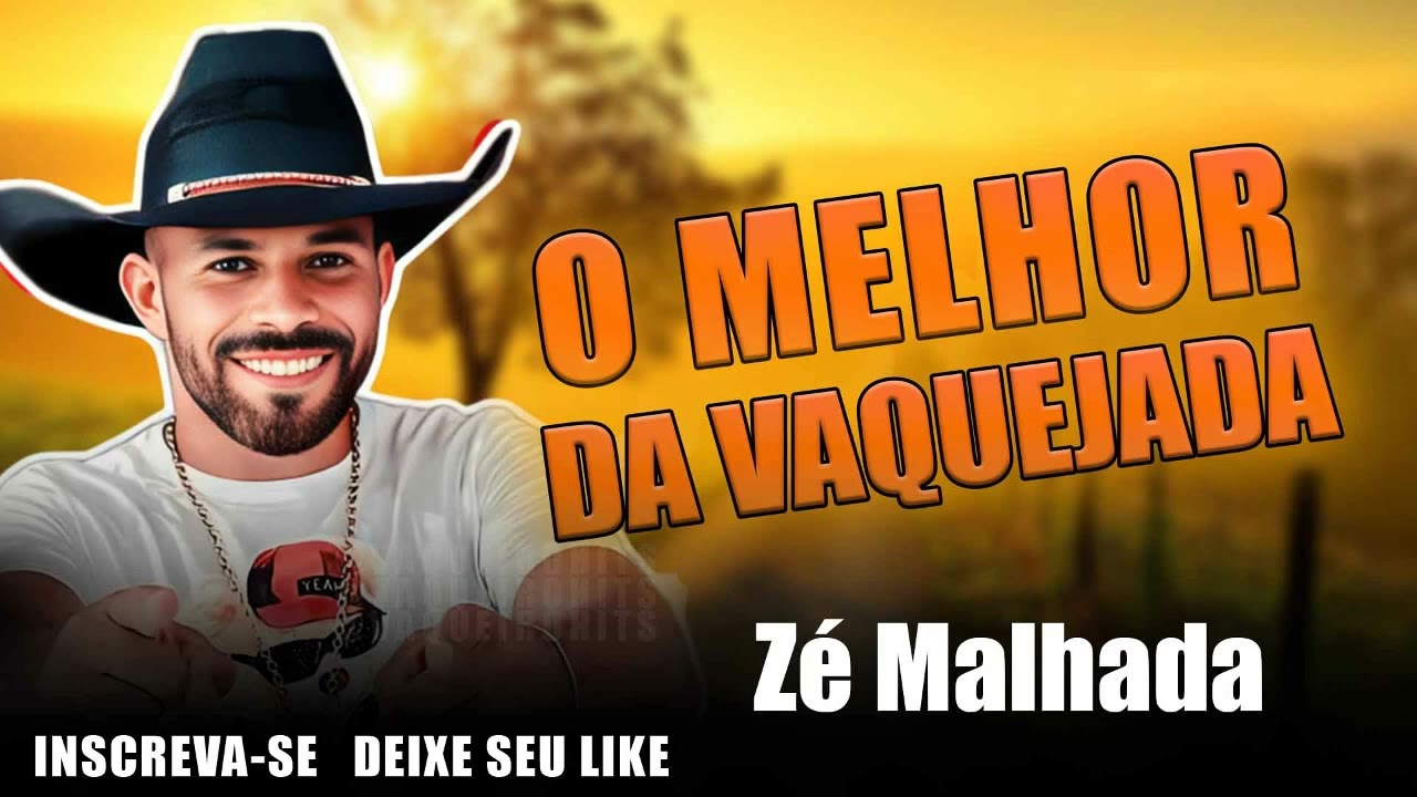 ZÉ MALHADA - CD ATUALIZADO MUSICAS NOVAS 2025