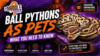 Ball Pythons as Pets: What You Need to Know