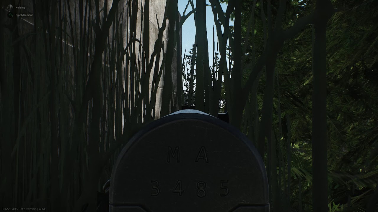 Escape From Tarkov - Heard enemy switch from single to auto