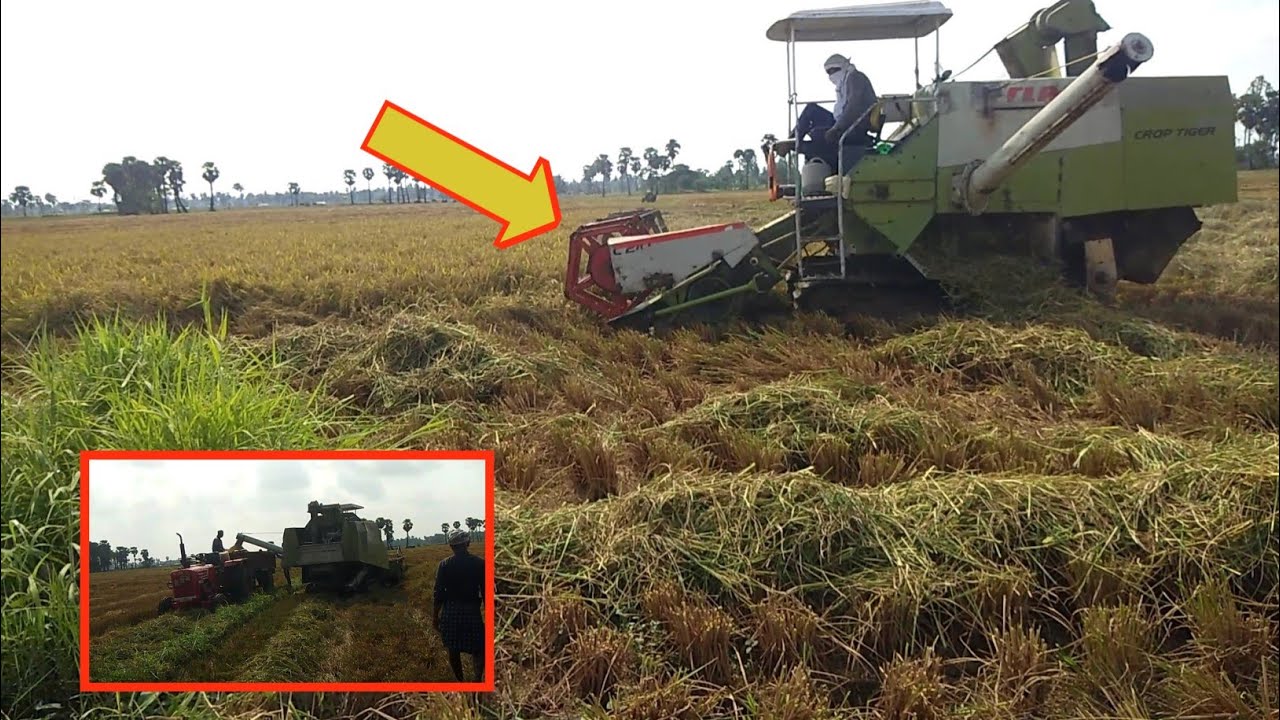 Shocking Incident in My farm  In Lockdown 