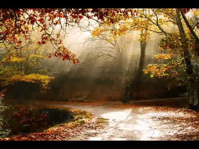 Watch Rin' - Solemn on YouTube Watch Rin' - Solemn on YouTube